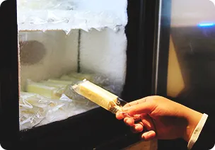 写真:無料のアイスクリーム